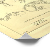 Vintage Tierskelette drucken Poster (Ecke)