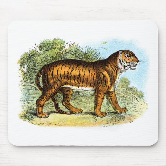 Vintage-Tiger-Illustration Mauspad (Vorne)