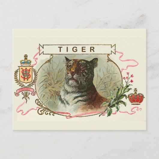 Vintage Tiger Postkarte (Vorderseite)