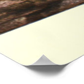 Vintage Tigermalerei (1909) Poster (Ecke)