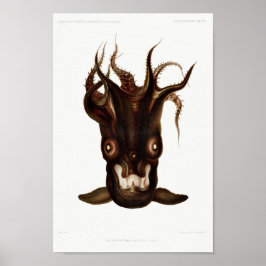 Vintage Tintenfisch-/Kraken-Illustration Poster