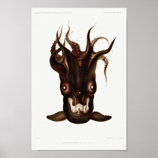 Vintage Tintenfisch-/Kraken-Illustration Poster (Vorne)