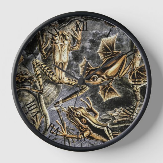Vintage Toads und Frösche von Ernst Haeckel Uhr (Vorderseite)