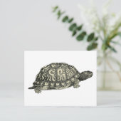Vintage Tortoise Illustration Postkarte (Stehend Vorderseite)