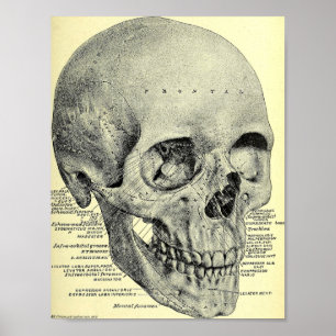 Vintage-Totenkopfplakat Poster