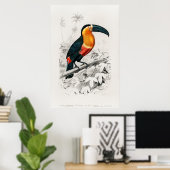 Vintage Toucan Illustration Poster (Heimbüro)