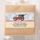 Vintage Toy Truck Merry (Insitu)