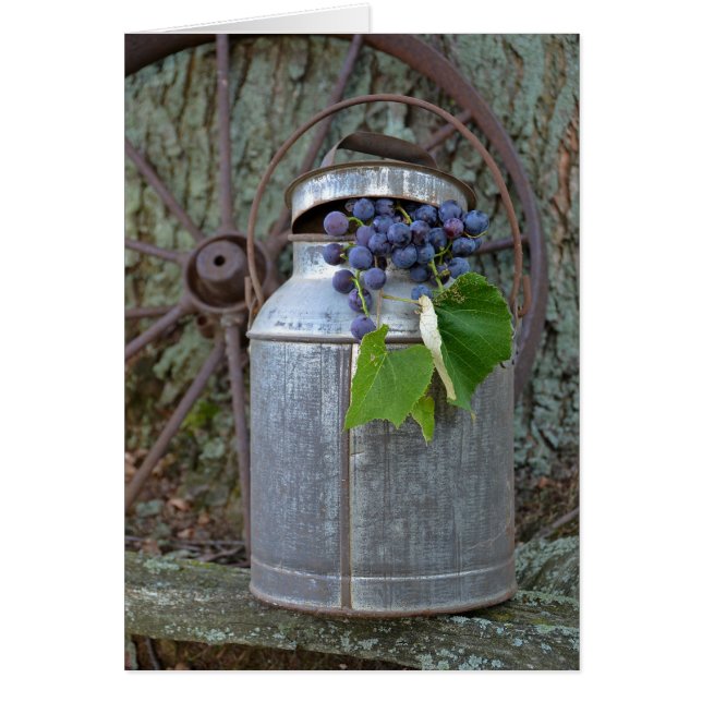 Vintage Trauben (Vorne)