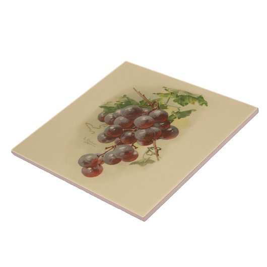 Vintage Trauben Fliese (Seite)