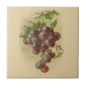 Vintage Trauben Fliese (Vorderseite)