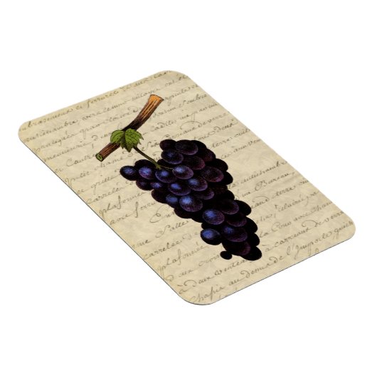 Vintage Trauben Magnet (Rechte Seite)