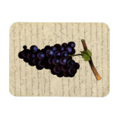 Vintage Trauben Magnet (Horizontal)