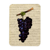 Vintage Trauben Magnet (Vertikal)