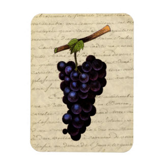 Vintage Trauben Magnet