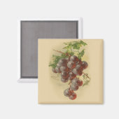 Vintage Trauben Magnet (Vorderseite/Rückseite)
