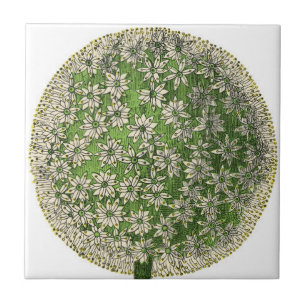 "Vintage Traum-" - Löwenzahn Fliese