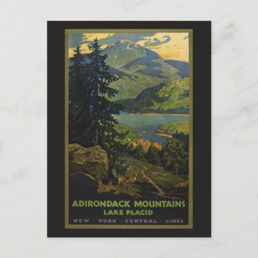 Vintage Travel Poster für das Adirondack Gebirge Postkarte (Vorderseite)