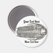 Vintage Trilobit Magnet (Vorderseite/Rückseite)