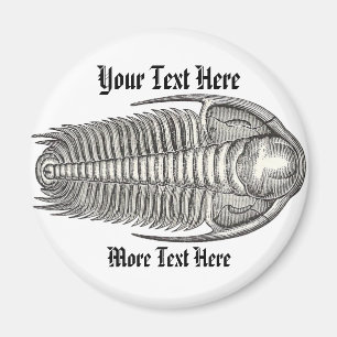 Vintage Trilobit Magnet