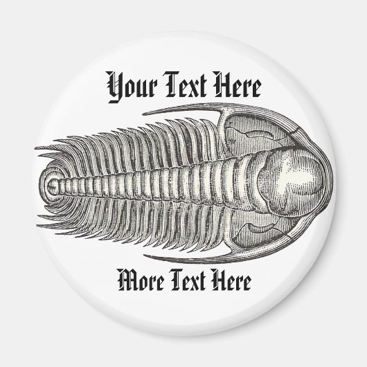 Vintage Trilobit Magnet (Vorne)