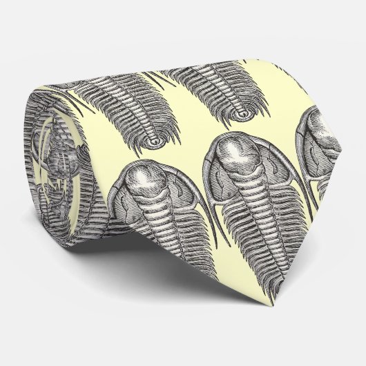 Vintage Trilobite Krawatte (Gerollt)