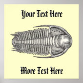 Vintage Trilobite Poster (Vorne)