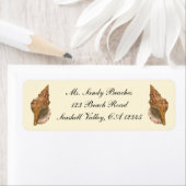 Vintage Triton Seashell Muschel, Meerestiere (Insitu)