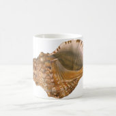 Vintage Triton Seashell Muschel, Meerestiere Kaffeetasse (Mittel)