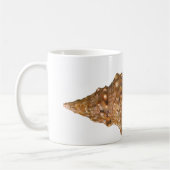 Vintage Triton Seashell Muschel, Meerestiere Kaffeetasse (Links)