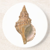 Vintage Triton Seashell Muschel, Meerestiere Untersetzer (Vorne)