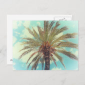 Vintage Tropenpalme Postkarte (Vorne/Hinten)