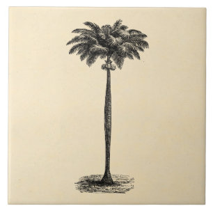 Vintage Tropische Insel Palmenbaum Vorlage Leer Fliese