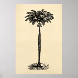 Vintage Tropische Insel Palmenbaum Vorlage Leer Poster
