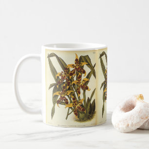 Vintage tropische Odontoglossum-Orchideenblüten Kaffeetasse