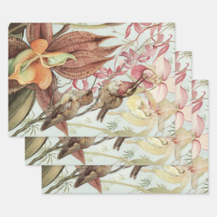Vintage tropische Orchideen, Blume und Hummingvöge Geschenkpapier Set