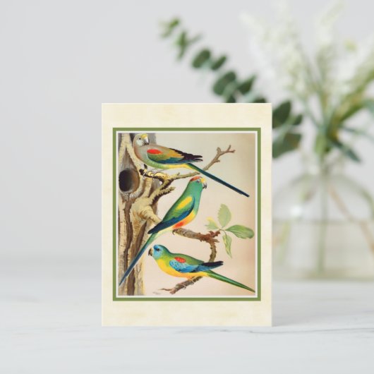 Vintage tropische Parakets Postkarte (Stehend Vorderseite)