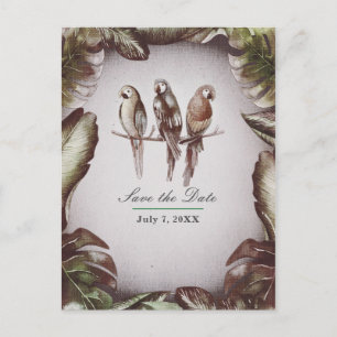 Vintage Tropische Tiki Vögel Papageien Heiratsankü Ankündigungspostkarte