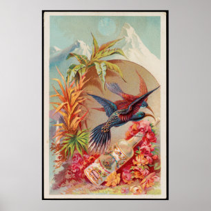 Vintage Tropische Vögel Florida Wasserwerbung Poster