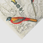 Vintage tropische Vögel im Paradies Seidenpapier (Detail)