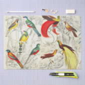 Vintage tropische Vögel im Paradies Seidenpapier (Handwerk)