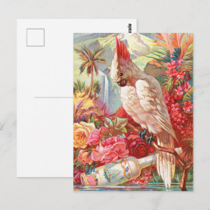 Vintage Tropischer Kakadu & Rose Botanische Kunst Postkarte