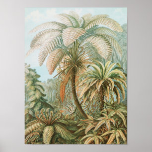 Vintage-Tropischer Palmbaum, Retro-Botanik Poster