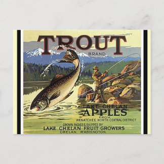 Vintage Trout Brand Fly Fisherman Äpfel Postkarten