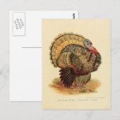 Vintage Truthahn-Illustration Vögel Sammlung Postkarte (Vorne/Hinten)