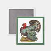 Vintage Truthahn Magnet (Vorderseite/Rückseite)