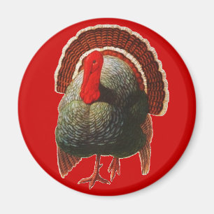 Vintage-Truthahn zu Thanksgiving Magnet