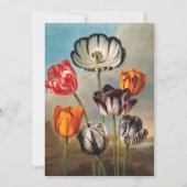 Vintage Tulip-Blume in einer Landschaft (Vorderseite)