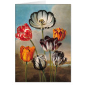 Vintage Tulip-Blume in einer Landschaft (Vorne)
