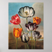 Vintage Tulip-Blume in einer Landschaft Poster (Vorne)