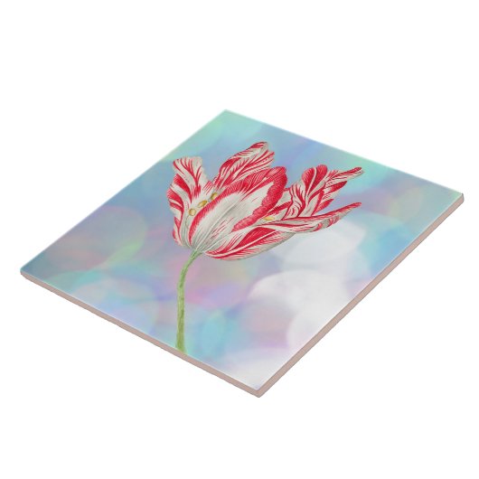 Vintage Tulip Keramik Tile Fliese (Seite)